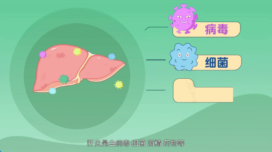 Flash动画制作软件